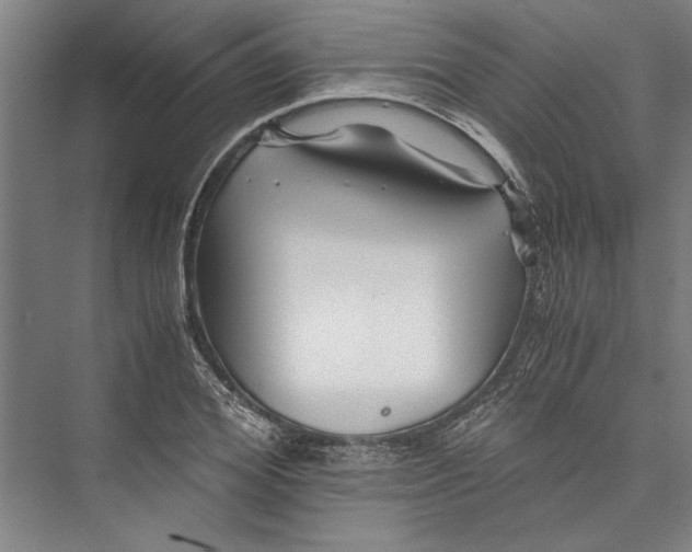 X0000075410980200610061953