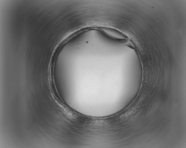 X0000075410982200610061953