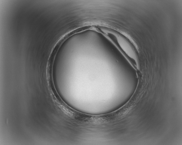 X0000075410983200610061953