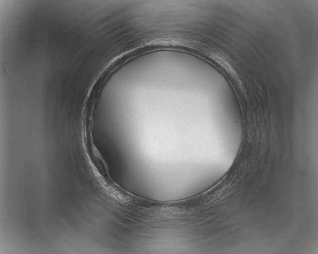 X0000075410984200610061953