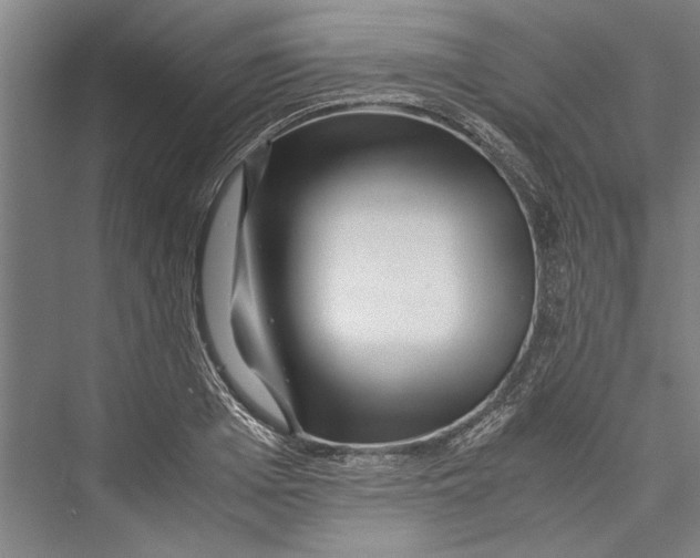 X0000075410985200610061953