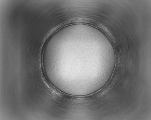 X0000075410986200610061953