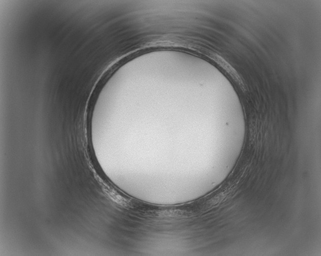 X0000075410988200610061953