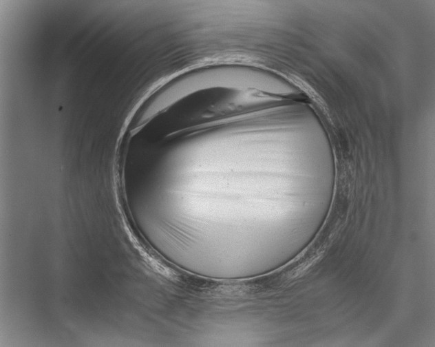 X0000075410989200610061953