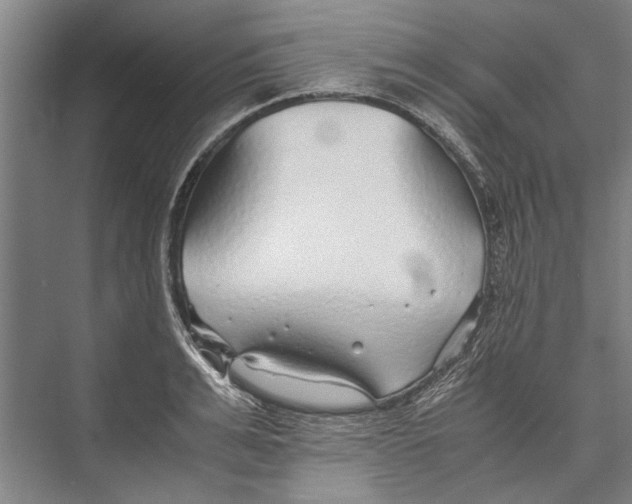 X0000075410991200610061953