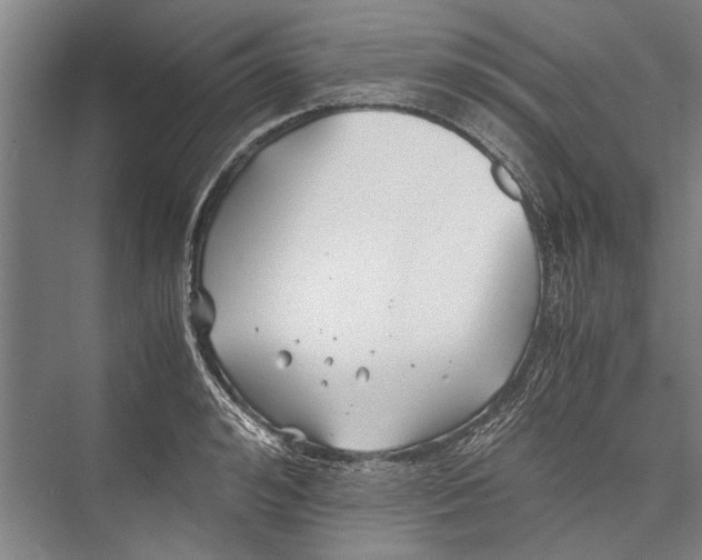 X0000075410992200610061953