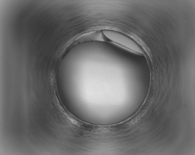 X0000075410993200610061953