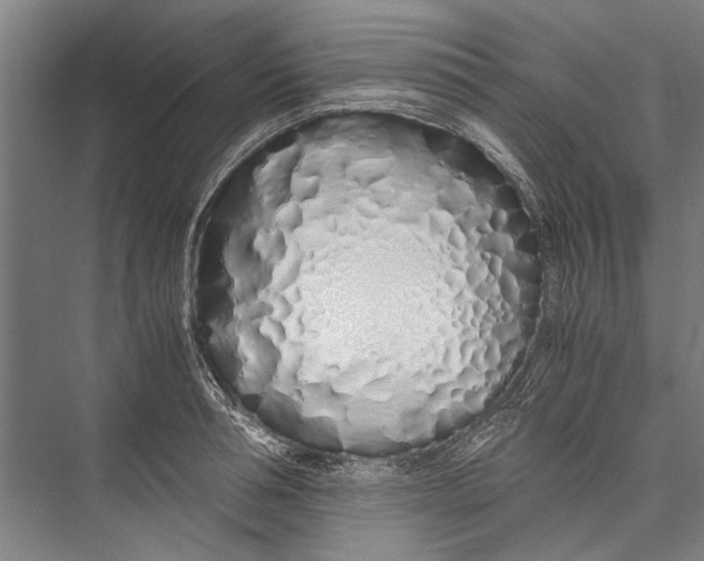 X0000075410994200610061953