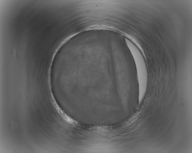 X0000075410995200610061953