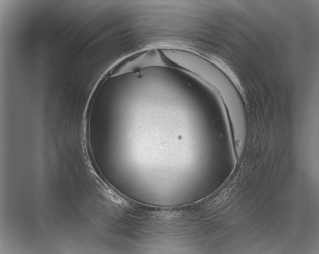 X0000075410996200610061953