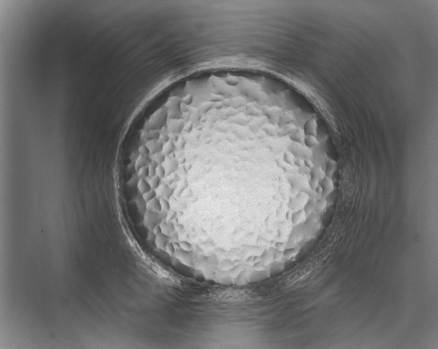 X0000075410998200610061953