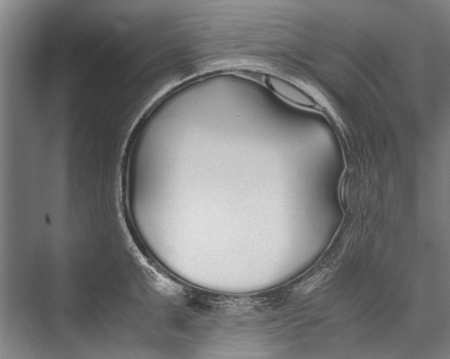 X0000075410999200610061952