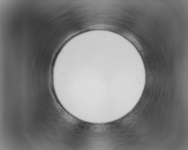 X0000075411000200610061952