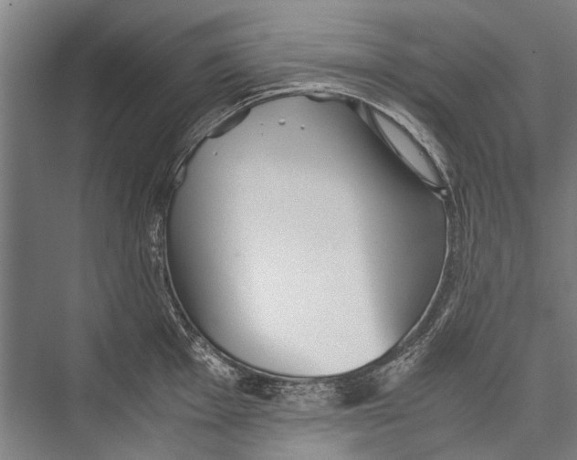 X0000075411001200610061952