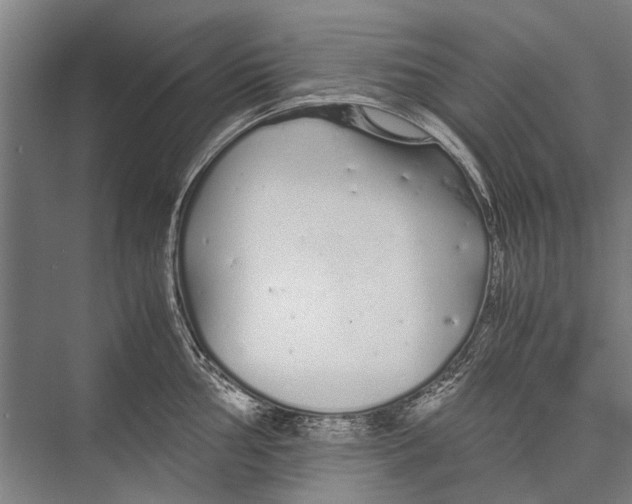 X0000075411002200610061952