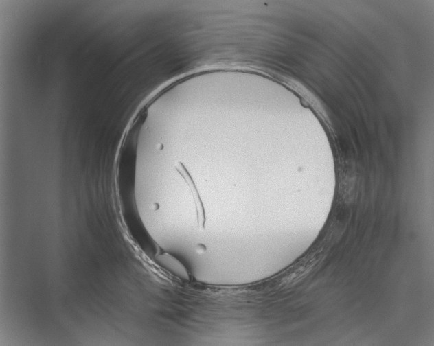 X0000075411004200610061952