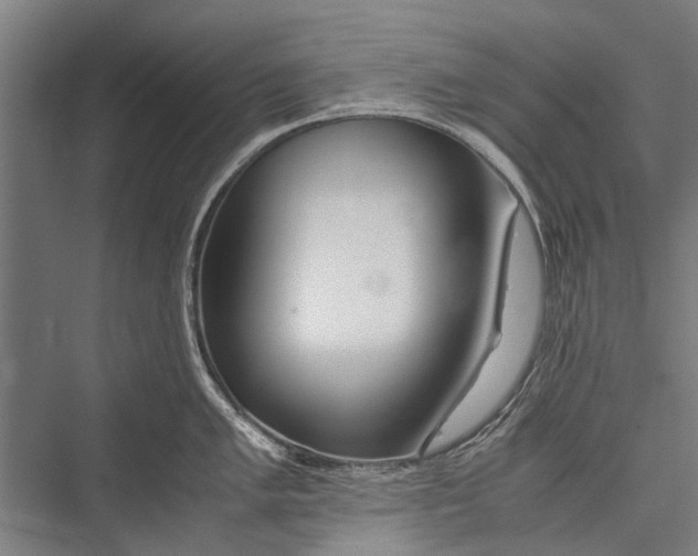 X0000075411005200610061952