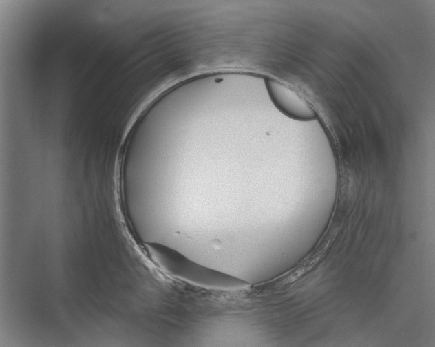 X0000075411006200610061952