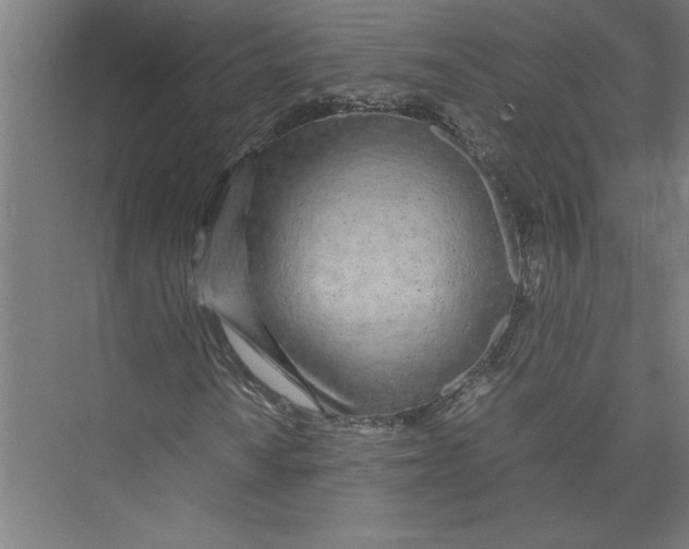 X0000075411010200610061952