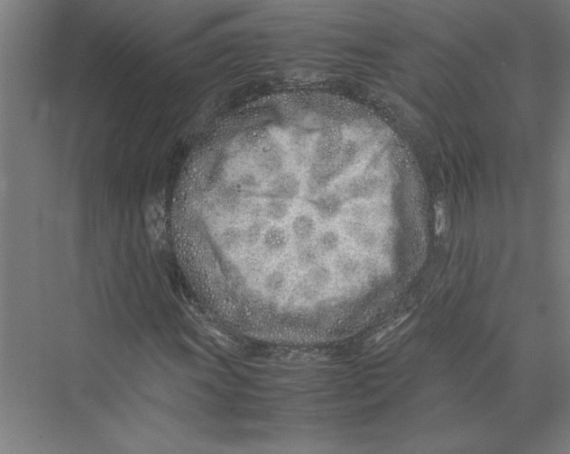 X0000075411011200610061952