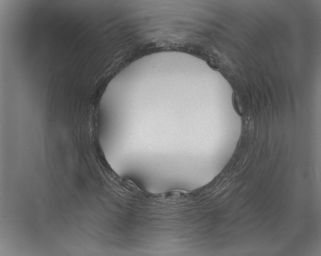 X0000075411012200610061952