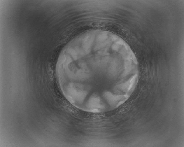 X0000075411013200610061952