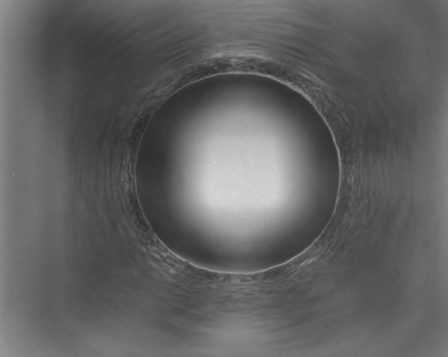 X0000075411014200610061952