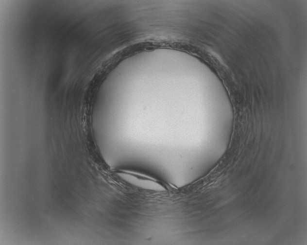 X0000075411016200610061952