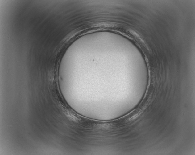 X0000075411017200610061952