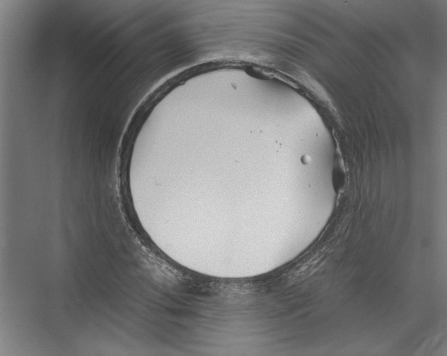 X0000075411020200610061952