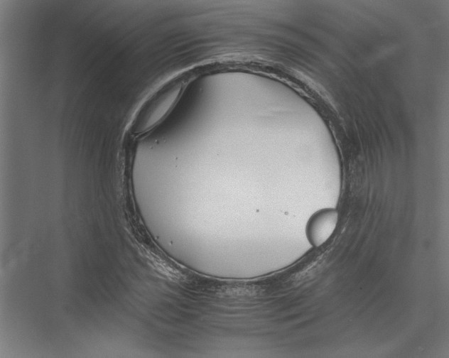 X0000075411021200610061952