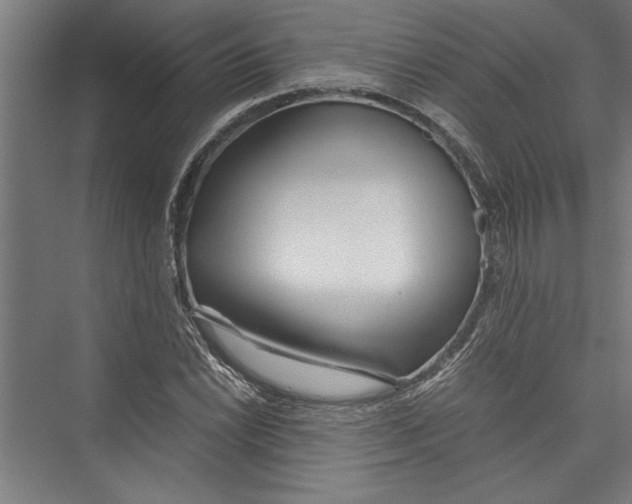 X0000075411022200610061952