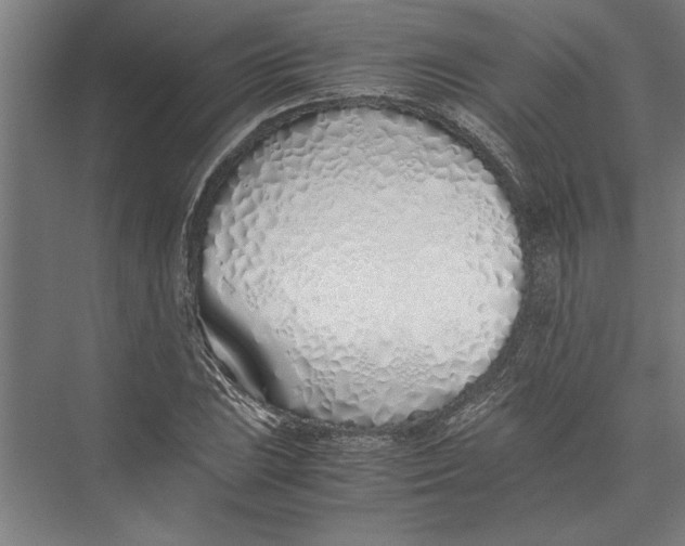 X0000075411023200610061952