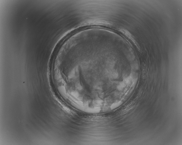 X0000075411024200610061952