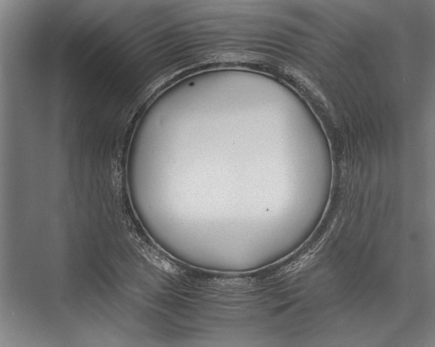 X0000075411025200610061952