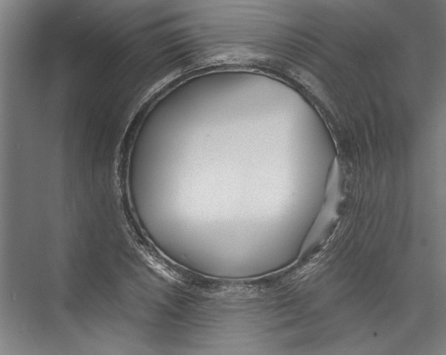 X0000075411026200610061952