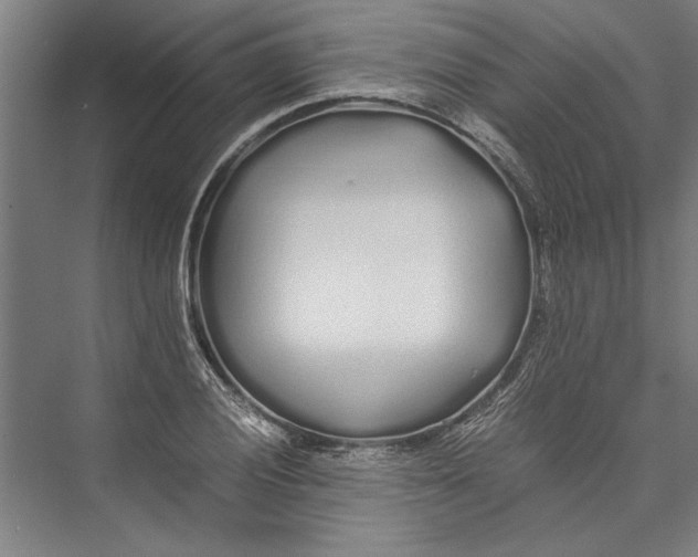 X0000075411028200610061952