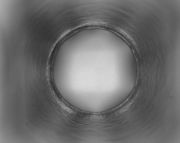 X0000075411029200610061952