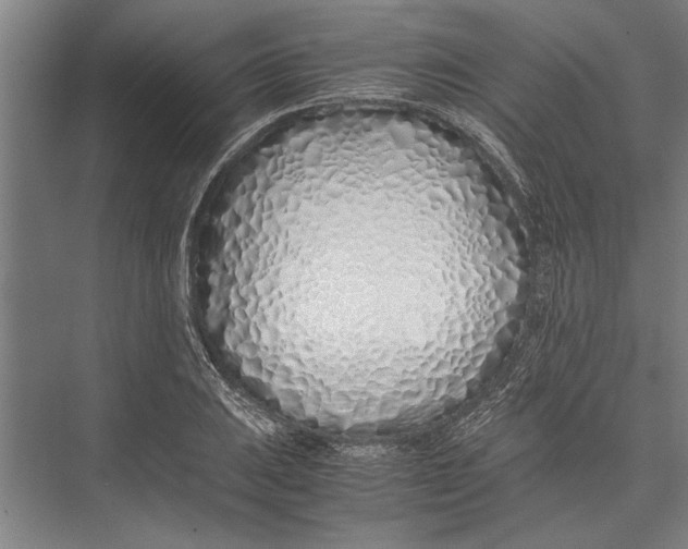 X0000075411031200610061952