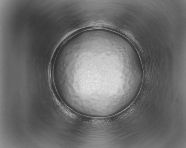 X0000075411032200610061952