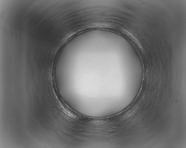 X0000075411033200610061952