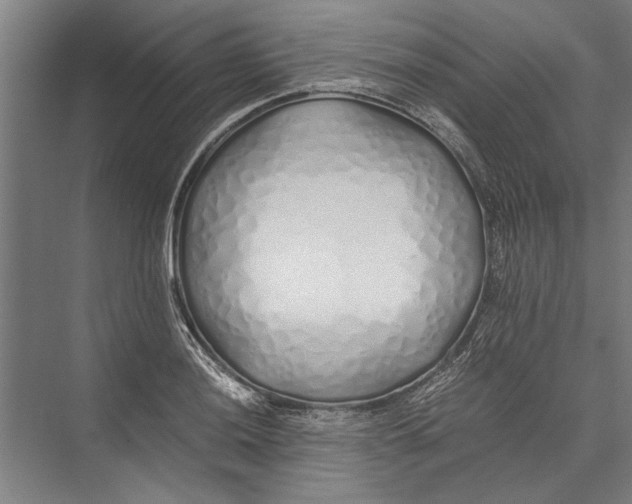 X0000075411036200610061952