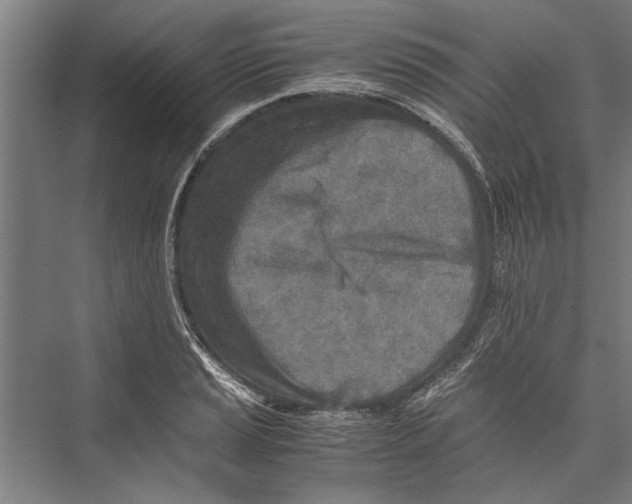 X0000075411037200610061952