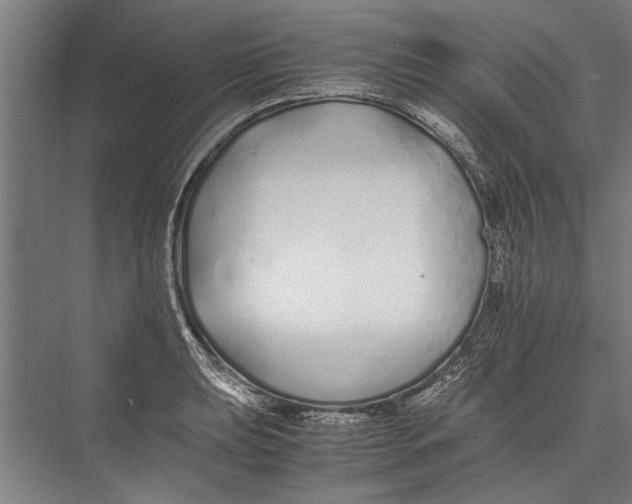 X0000075411039200610061952