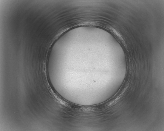 X0000075411041200610061952