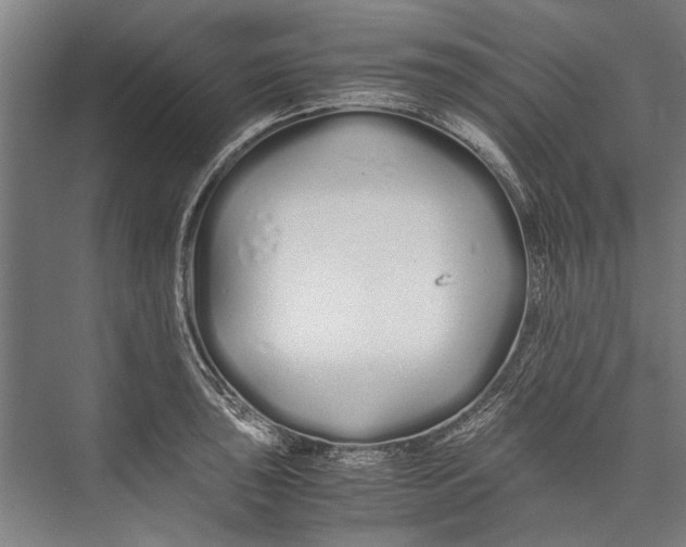 X0000075411043200610061952