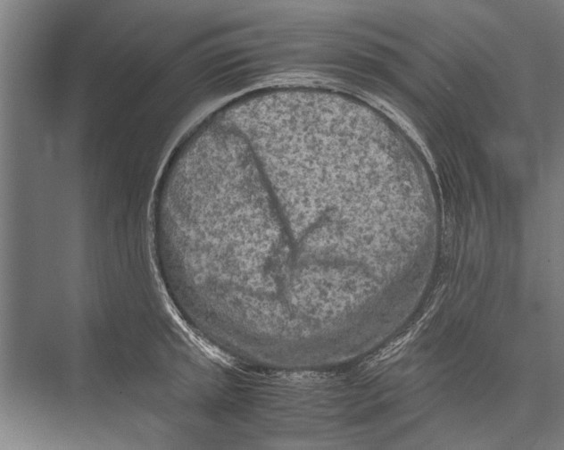 X0000075411045200610061952