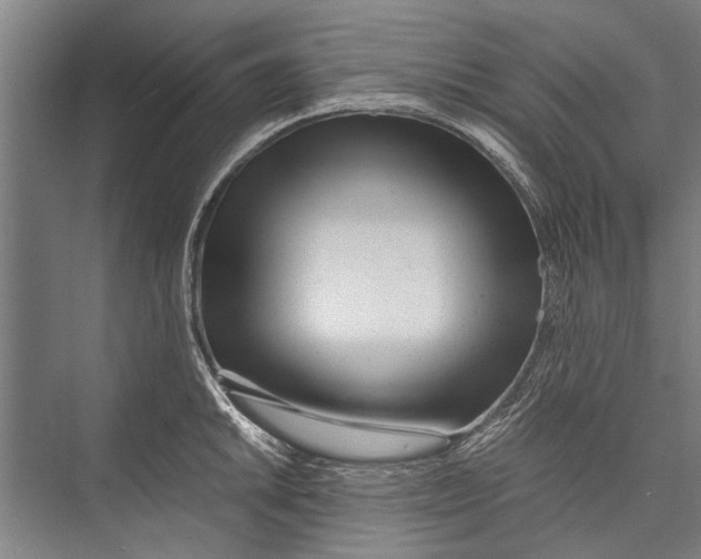 X0000075411046200610061952