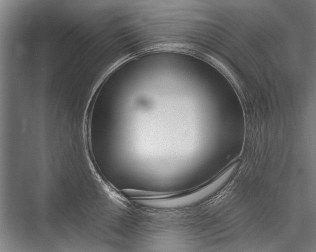 X0000075411050200610061952