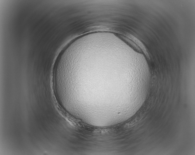 X0000075411051200610061952